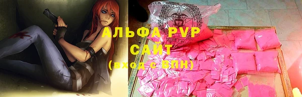 apvp Няндома