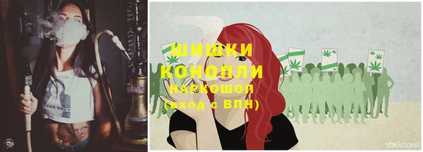 apvp Няндома