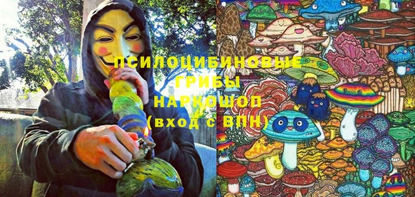apvp Няндома